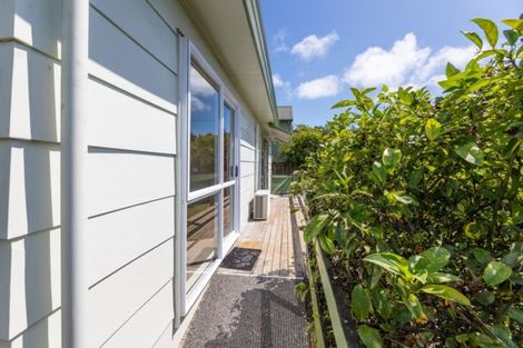 Photo of property in 4b Motueka Street, Nelson South, Nelson, 7010
