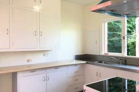 Photo of property in 45 Pacific Street, Roslyn, Dunedin, 9010