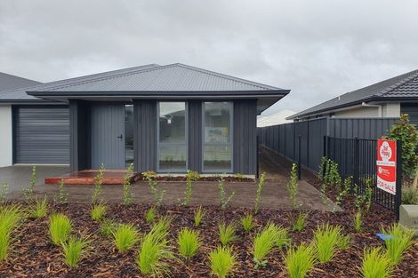 Photo of property in 10 Ash Lane, Omokoroa, 3114