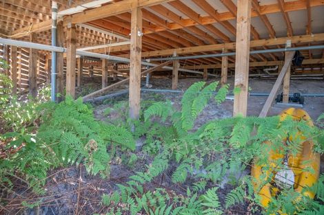 Photo of property in 7 Dudley Crescent, Cable Bay, 0420