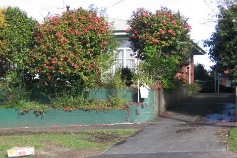 Photo of property in 19 Hinau Street, Maeroa, Hamilton, 3200