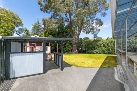 Photo of property in 6 Ranui Street, Dinsdale, Hamilton, 3204