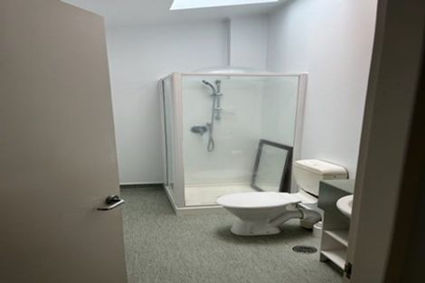 Photo of property in Dixonlane Apartments, 26/7 Feltex Lane, Te Aro, Wellington, 6011