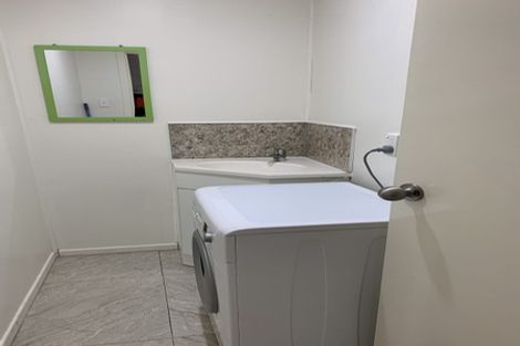 Photo of property in 48 Boyce Avenue, Mount Roskill, Auckland, 1041