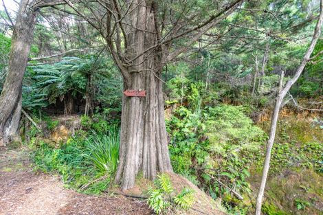 Photo of property in 7 Otuturu Creek Road, Ruamahunga, Thames, 3575