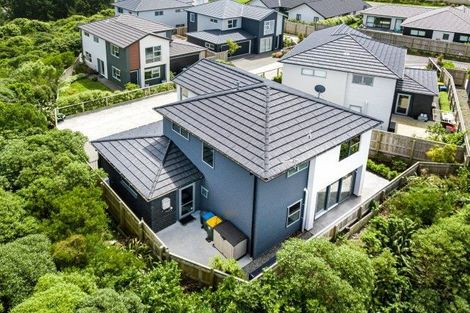 Photo of property in 162a John Burke Drive, Aotea, Porirua, 5024