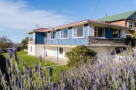 Photo of property in 27 Morrison Street, Caversham, Dunedin, 9012