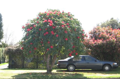 Photo of property in 35 Sumner Street, Glenholme, Rotorua, 3010