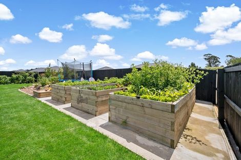 Photo of property in 27 Newman Road, Rolleston, 7614