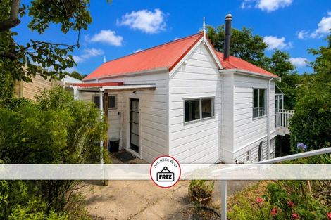 Photo of property in 29 Tyne Street, Roslyn, Dunedin, 9010