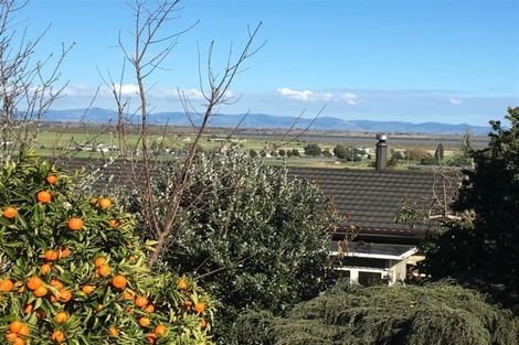 Photo of property in 115 Brunton Crescent, Thames, 3500