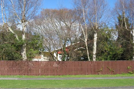 Photo of property in 33 Milne Street, Marton, 4710