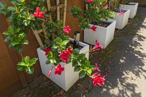 Photo of property in 9 Glencarron Place, Bethlehem, Tauranga, 3110