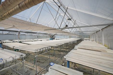 Photo of property in 65 Walters Road, Marshland, Christchurch, 8051