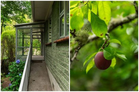 Photo of property in 22b Ngati Maru Sh25 Highway, Kopu, Thames, 3578