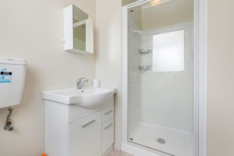 Photo of property in 9 Maryport Street, Lawrence, 9532