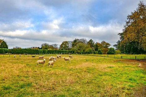 Photo of property in 14 Mckenzie Avenue, Southbridge, 7602