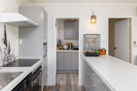 Photo of property in 55 Reserve Terrace, Lyttelton, 8082