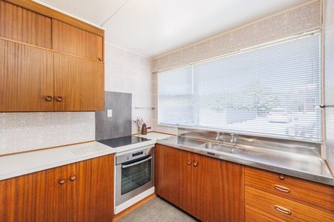Photo of property in 50 Windsor Street, Terrace End, Palmerston North, 4410