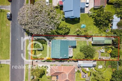 Photo of property in 7 Hamilton Street, Te Aroha, 3320