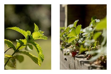 Photo of property in 88 Sentinel Avenue, Omokoroa, 3114