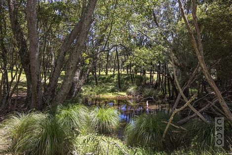 Photo of property in 306 Taiapa Road, Muriwai, 0881