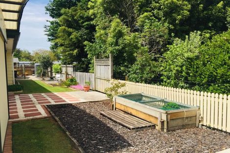 Photo of property in 446c Thames Street, Morrinsville, 3300