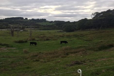 Photo of property in 6 Paparoa Station Road, Paparoa, 0571