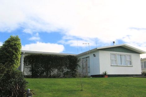 Photo of property in 20 Norrie Street, Feilding, 4702