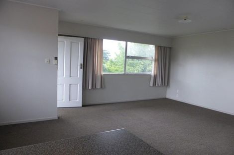 Photo of property in 41b Collingwood Street, Judea, Tauranga, 3110