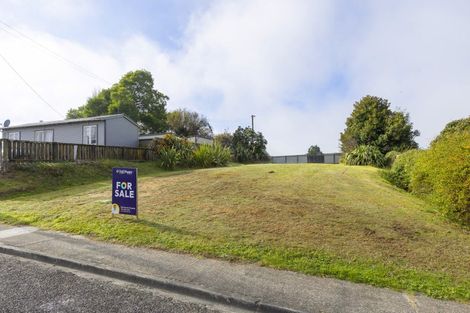 Photo of property in 21 Kauri Street, Mangakino, 3421
