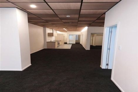 Photo of property in Te Kainga, 195 Willis Street, Te Aro, Wellington, 6011