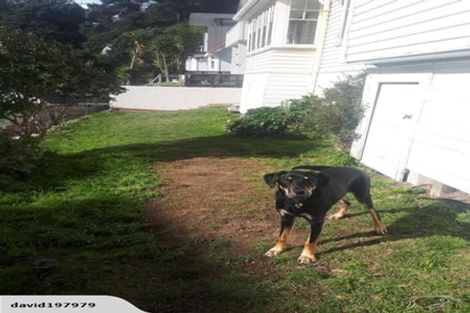 Photo of property in 8 Wilkinson Street, Oriental Bay, Wellington, 6011