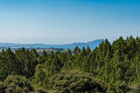 Photo of property in 168 Massey Road, Waipu, 0582