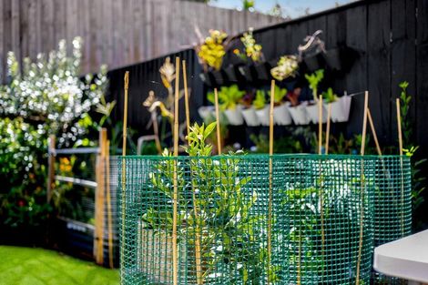 Photo of property in 6 Rara Lane, Manukau, Auckland, 2104