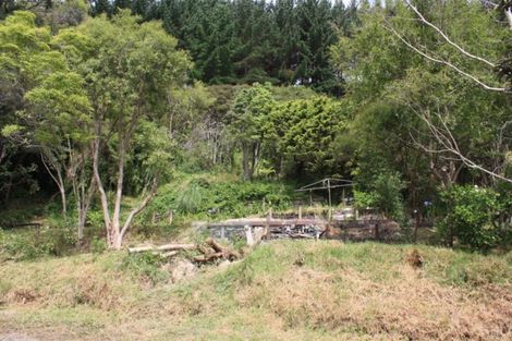 Photo of property in 24 Kaimanawa Street, Paraparaumu, 5032