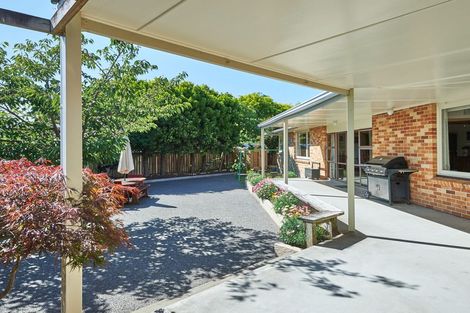 Photo of property in 39 Saint Albans Avenue, Hokowhitu, Palmerston North, 4410