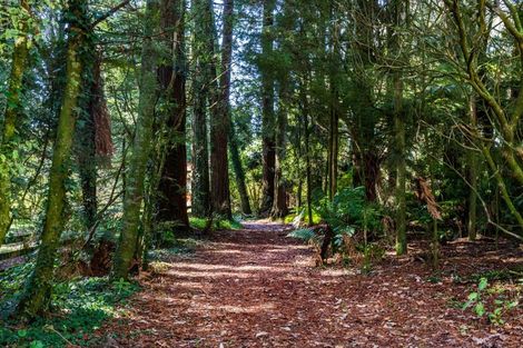 Photo of property in 3245 Poihipi Road, Marotiri, Mangakino, 3492