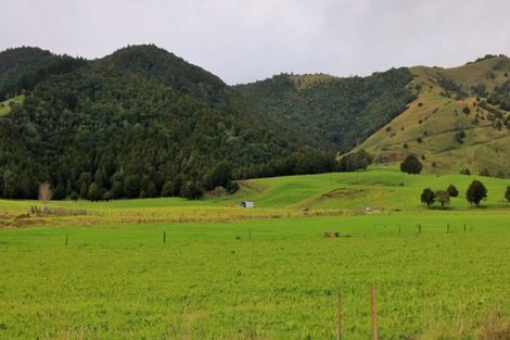 Photo of property in 1008 Tangowahine Valley Road, Tangowahine, Dargaville, 0372