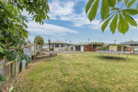 Photo of property in 118 Racecourse Road, Waipukurau, 4200