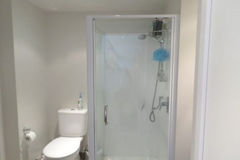 Photo of property in Soho Apartments, 817/74 Taranaki Street, Te Aro, Wellington, 6011