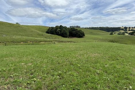 Photo of property in 829 Honikiwi Road, Honikiwi, Otorohanga, 3973