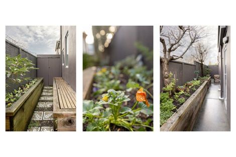 Photo of property in 241 Oceanbeach Road, Mount Maunganui, 3116