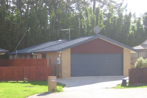 Photo of property in 21 Brookwood Drive, Henderson, Auckland, 0612