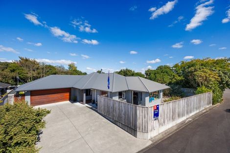 Photo of property in 6 Waipatere Court, Ashhurst, 4810