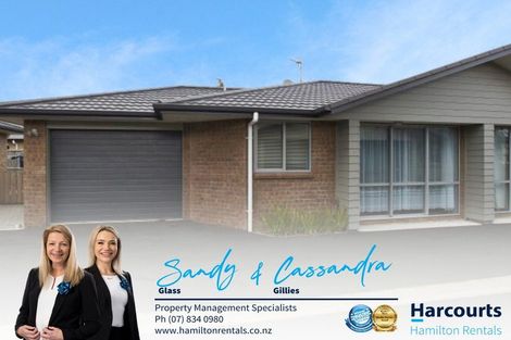 Photo of property in 184b Killarney Road, Frankton, Hamilton, 3204