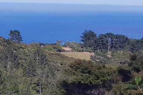 Photo of property in 164-166 Lone Kauri Road, Karekare, New Lynn, 0772