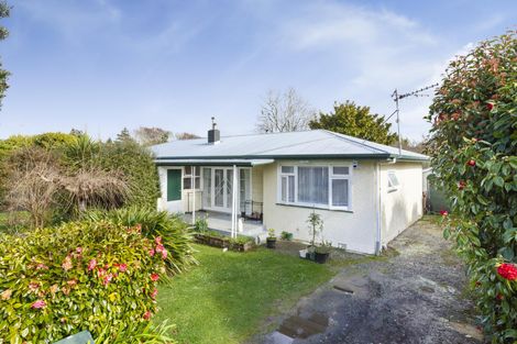 Photo of property in 114 Manawatu Street, Hokowhitu, Palmerston North, 4410