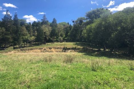 Photo of property in 414 Ruaroa Road, Kaitaia, 0482