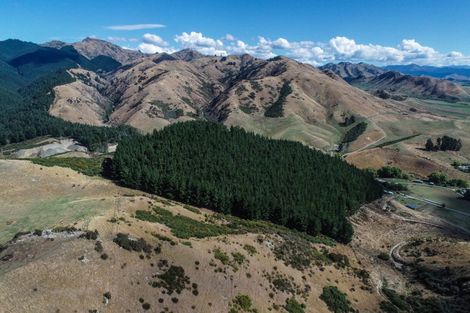 Photo of property in 287 Barracks Road, Hawkesbury, Renwick, 7272